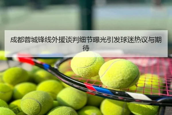 成都蓉城锋线外援谈判细节曝光引发球迷热议与期待